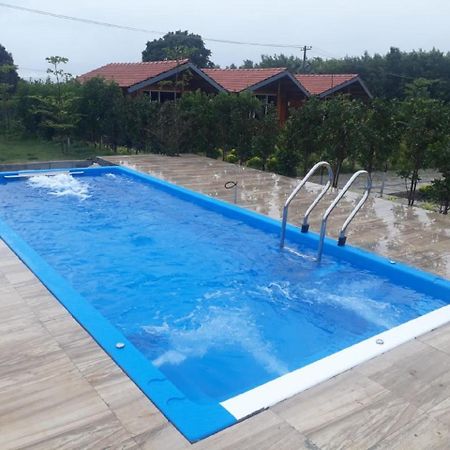 Trippr Chikkamagaluru Hostel Chikmagalur Ngoại thất bức ảnh